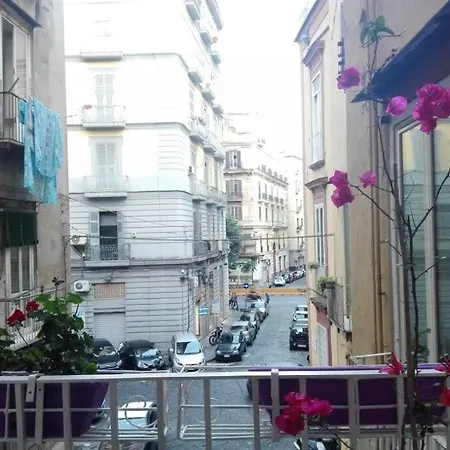 Joyfull In The Historical Center Appartamento *